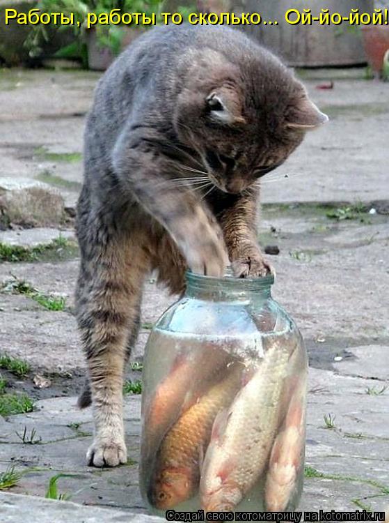 Котоматрица: Работы, работы то сколько... Ой-йо-йой!