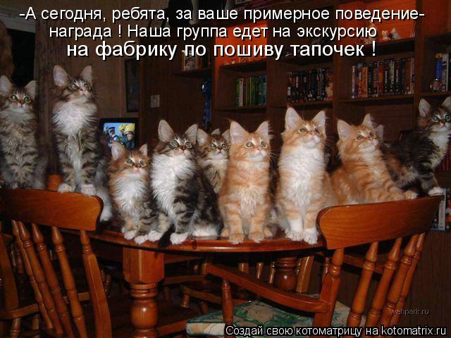 -А сегодня, ребята, за ваше примерное поведение- награда ! Наша группа едет на экскурсию на фабрику ... Котоматрица: -А сегодня, ребята, за ваше примерное поведение- награда ! Наша группа едет на экскурсию на фабрику по пошиву тапочек !