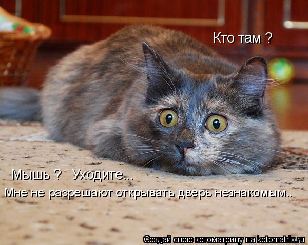 Кто там ? Мышь ? Уходите... Мне не разрешают открывать дверь незнакомым..... Котоматрица: Кто там ? Мышь ? Уходите... Мне не разрешают открывать дверь незнакомым..