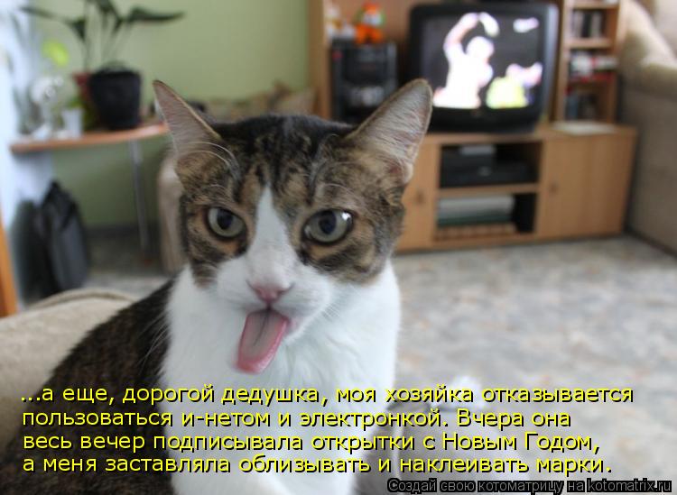 ...а еще, дорогой дедушка, моя хозяйка отказывается пользоваться и-нетом и электронкой. Вчера она ве... Котоматрица: ...а еще, дорогой дедушка, моя хозяйка отказывается пользоваться и-нетом и электронкой. Вчера она весь вечер подписывала открытки с Новым Го