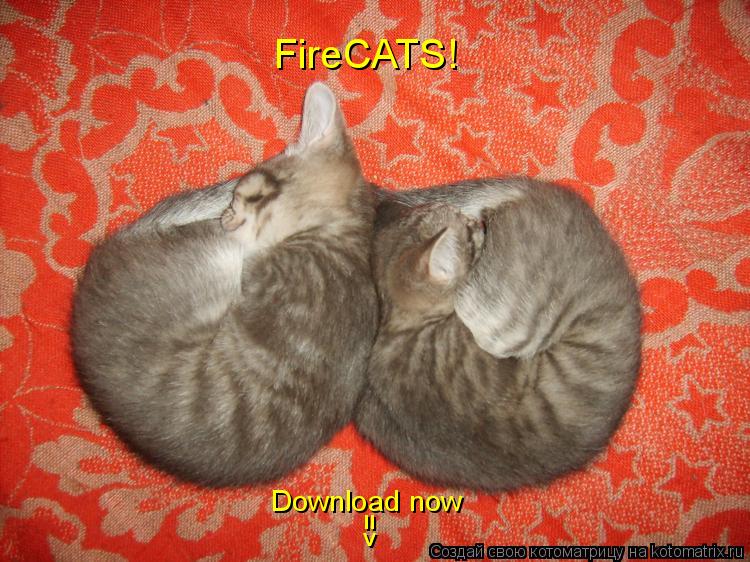Котоматрица: FireCATS! Download now =>