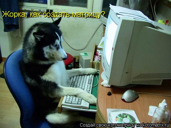 Котоматрица: Жорка, как создать матрицу?