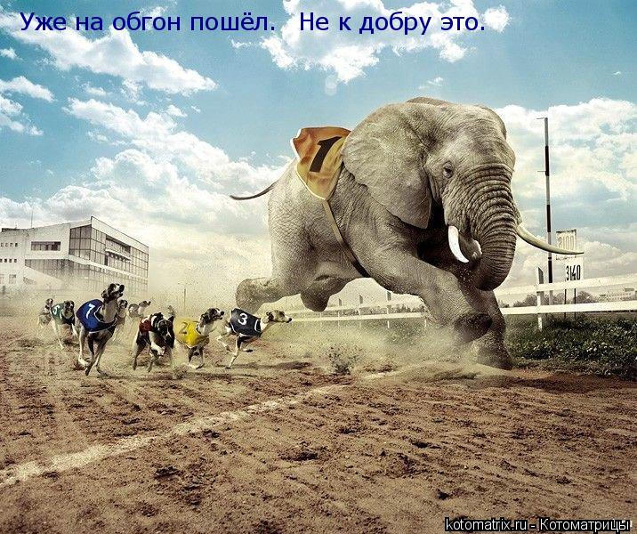 Котоматрица: Уже на обгон пошёл. Не к добру это.