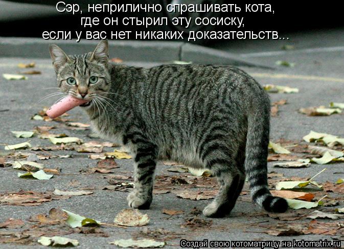 Котоматрица: Сэр, неприлично спрашивать кота, где он стырил эту сосиску, если у вас нет никаких доказательств...
