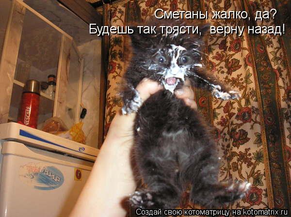 Котоматрица: Сметаны жалко, да? Будешь так трясти,  верну назад!
