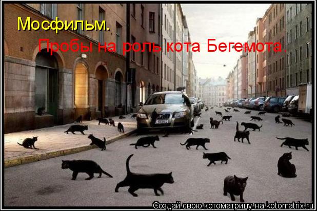 Котоматрица: Мосфильм.  Пробы на роль кота Бегемота.