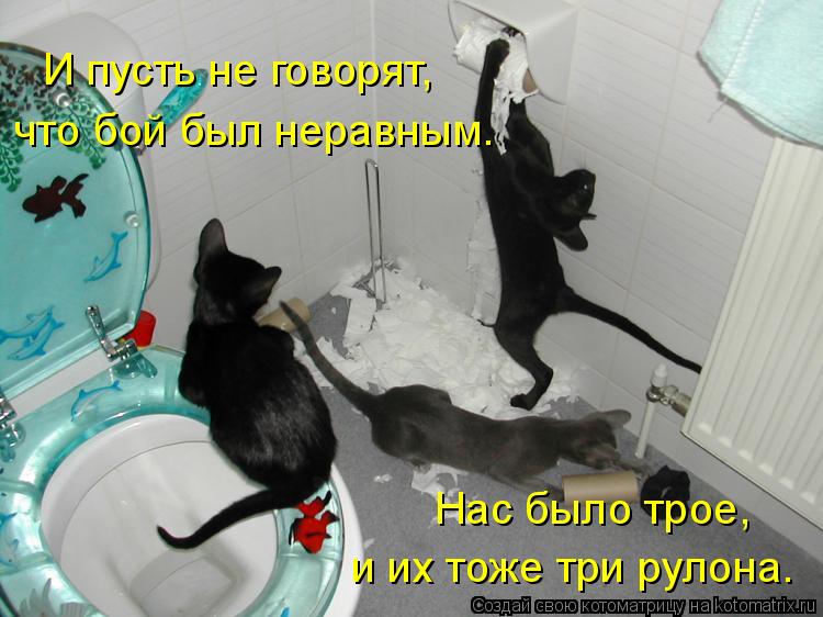 И пусть не говорят, что бой был неравным. Нас было трое, и их тоже три рулона.... Котоматрица: И пусть не говорят, что бой был неравным. Нас было трое, и их тоже три рулона.