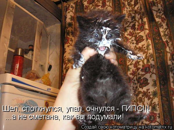 ...а не сметана, как вы подумали! Шел, споткнулся, упал, очнулся - ГИПС!!!... Котоматрица: ...а не сметана, как вы подумали! Шел, споткнулся, упал, очнулся - ГИПС!!!