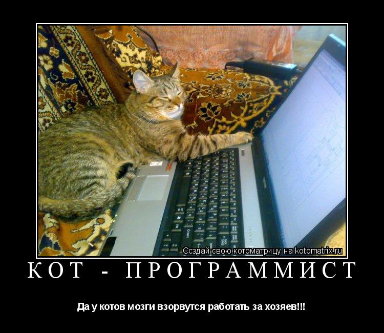 Котоматрица: Кот - программист Да у котов мозги взорвутся работать за хозяев!!!