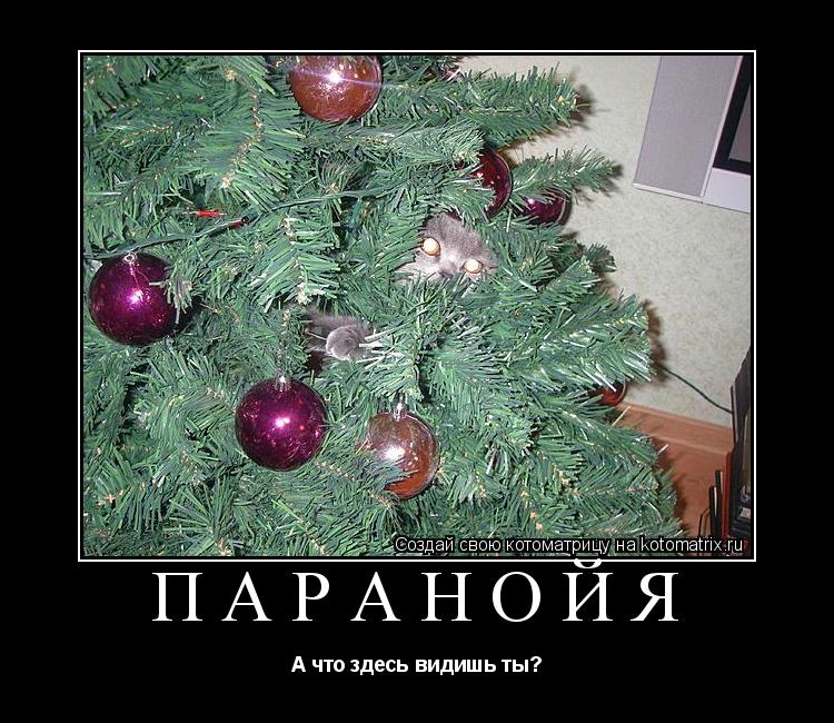 Котоматрица: Паранойя А что здесь видишь ты?