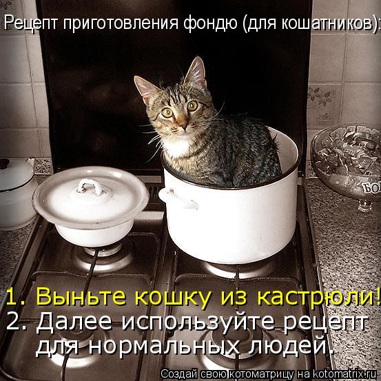 Котоматрица: Рецепт приготовления фондю (для кошатников): 1. Выньте кошку из кастрюли! 2. Далее используйте рецепт  для нормальных людей.