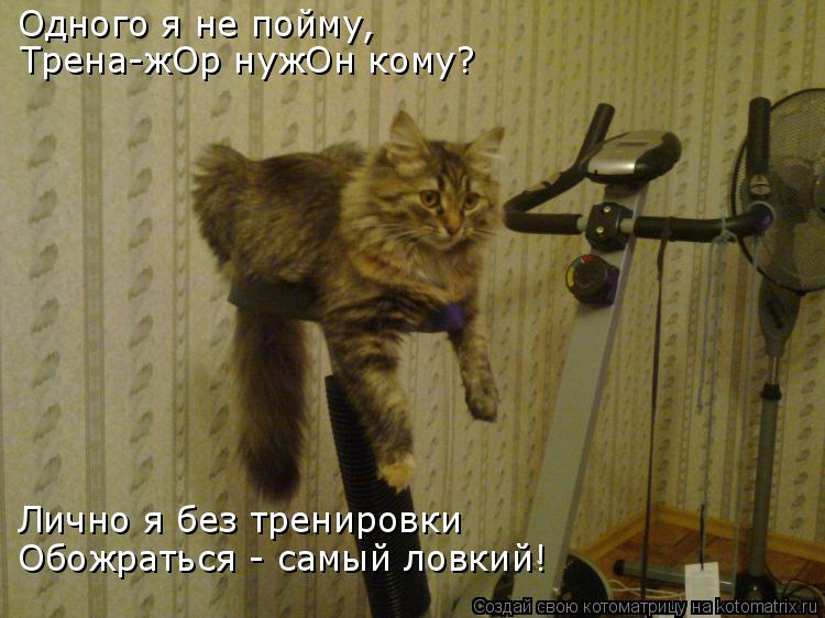 Одного я не пойму, Трена-жОр нужОн кому? Лично я без тренировки Обожраться - самый ловкий!... Котоматрица: Одного я не пойму, Трена-жОр нужОн кому? Лично я без тренировки Обожраться - самый ловкий!