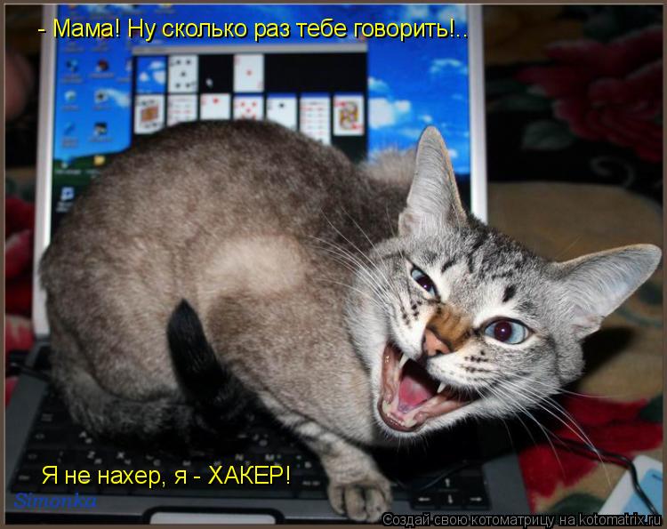 Котоматрица: - Мама! Ну сколько раз тебе говорить!.. Я не нахер, я - ХАКЕР!