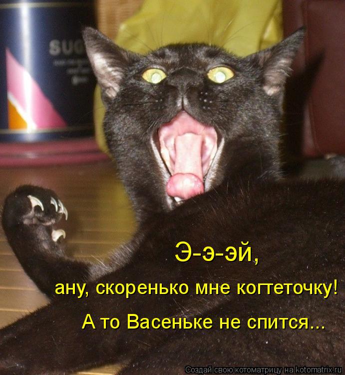Котоматрица: Э-э-эй,  ану, скоренько мне когтеточку! А то Васеньке не спится...
