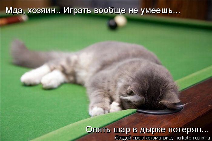 Котоматрица: Мда, хозяин.. Играть вообще не умеешь... Опять шар в дырке потерял...