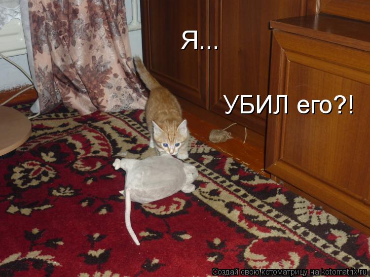 Котоматрица: Я...  УБИЛ его?!