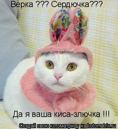 Котоматрица: Верка ??? Сердючка???  Да я ваша киса-злючка !!!