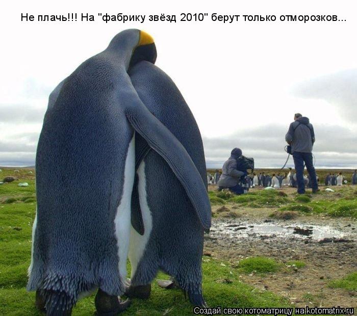 Котоматрица: Не плачь!!! На "фабрику звёзд 2010" берут только отморозков...