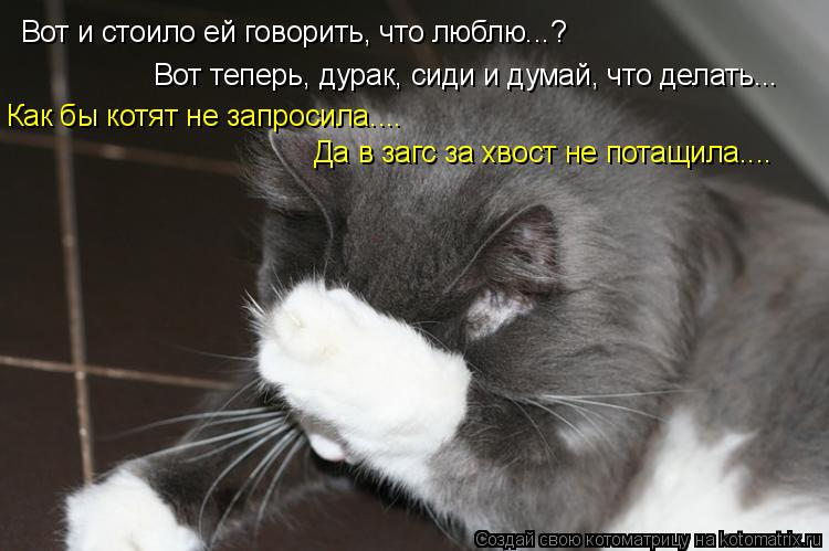 Котоматрица: Вот и стоило ей говорить, что люблю...? Вот теперь, дурак, сиди и думай, что делать...  Как бы котят не запросила.... Да в загс за хвост не потащила.