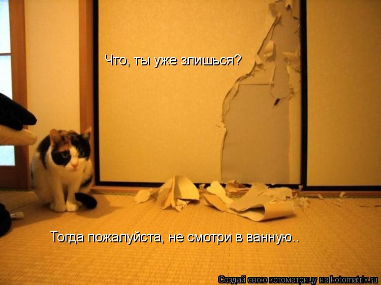 Котоматрица: Что, ты уже злишься? Тогда пожалуйста, не смотри в ванную..