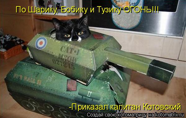 Котоматрица: По Шарику, Бобику и Тузику ОГОНЬ!!! -Приказал капитан Котовский