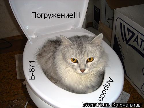 Котоматрица: Погружение!!! Б-871 Алроса