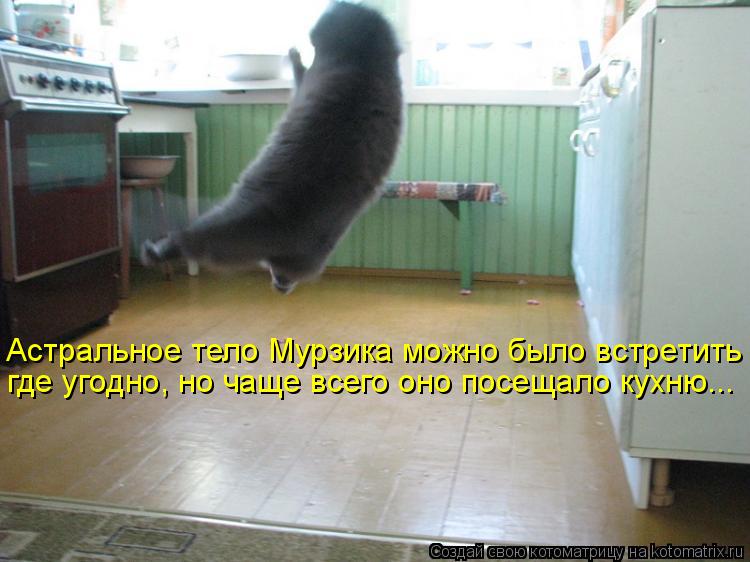 Астральное тело Мурзика можно было встретить где угодно, но чаще всего оно посещало кухню...... Котоматрица: Астральное тело Мурзика можно было встретить где угодно, но чаще всего оно посещало кухню...