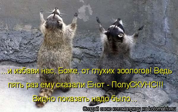 пять раз ему сказали Енот - ПолуСКУНС!!! ...и избави нас, Боже, от глухих зоологов! Ведь Видно показ... Котоматрица: пять раз ему сказали Енот - ПолуСКУНС!!! ...и избави нас, Боже, от глухих зоологов! Ведь Видно показать надо было...