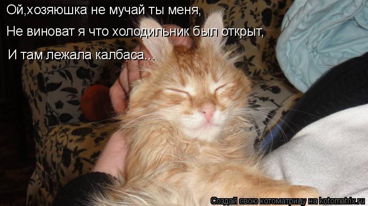 Котоматрица: Ой,хозяюшка не мучай ты меня, Ой,хозяюшка не мучай ты меня, Не виноват я что холодильник был открыт, И там лежала калбаса...