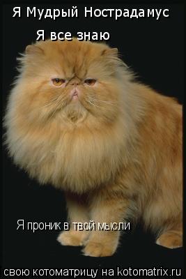 Котоматрица: Я Мудрый Нострадамус Я все знаю Я проник в твой мысли Я проник в твой мысли