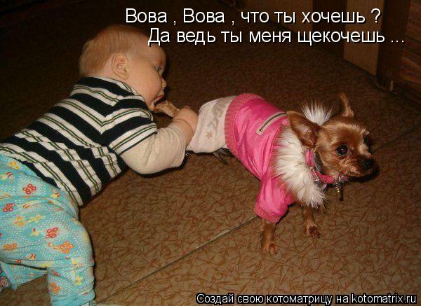 Котоматрица: Вова , Вова , что ты хочешь ? Да ведь ты меня щекочешь ...