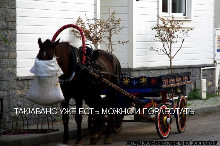 Котоматрица: ТАК!АВАНС УЖЕ ЕСТЬ МОЖНО И ПОРАБОТАТЬ