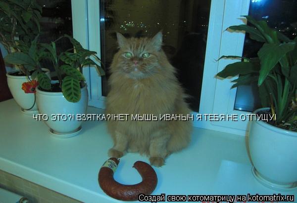 Котоматрица: ЧТО ЭТО?! ВЗЯТКА?!НЕТ МЫШЬ ИВАНЫЧ Я ТЕБЯ НЕ ОТПУЩУ!