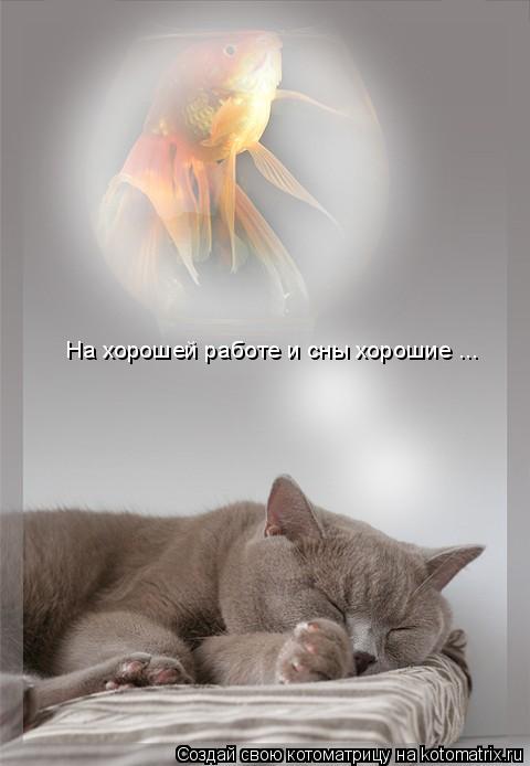 Котоматрица: На хорошей работе и сны хорошие ...
