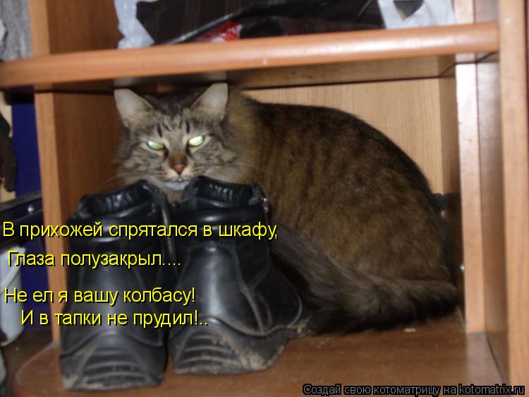 Котоматрица: В прихожей спрятался в шкафу, Глаза полузакрыл.... Не ел я вашу колбасу! И в тапки не прудил!..