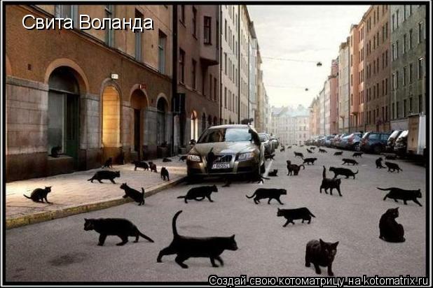 Котоматрица: Свита Воланда