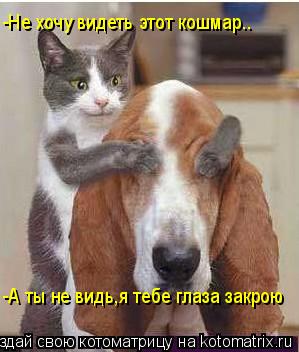 Котоматрица: -Не хочу видеть этот кошмар.. -А ты не видь,я тебе глаза закрою
