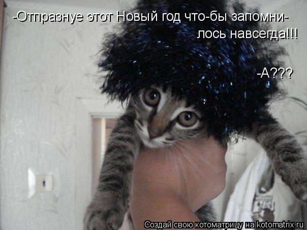 -Отпразнуе этот Новый год что-бы запомни- лось навсегда!!! -А???... Котоматрица: -Отпразнуе этот Новый год что-бы запомни- лось навсегда!!! -А???