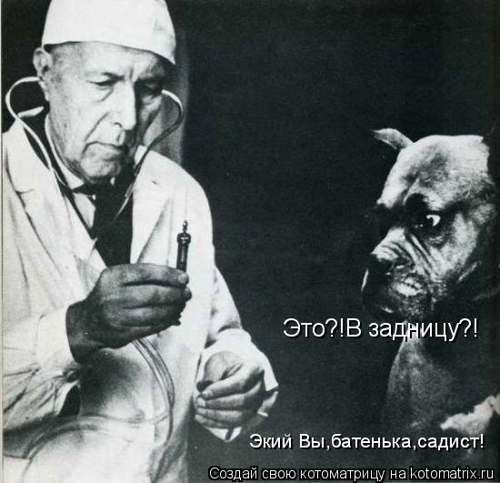 Это?!В задницу?! Экий Вы,батенька,садист!... Котоматрица: Это?!В задницу?! Экий Вы,батенька,садист!