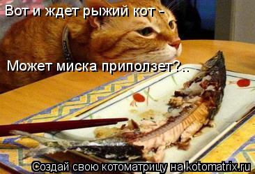 Вот и ждет рыжий кот - Может миска приползет?..... Котоматрица: Вот и ждет рыжий кот - Может миска приползет?..