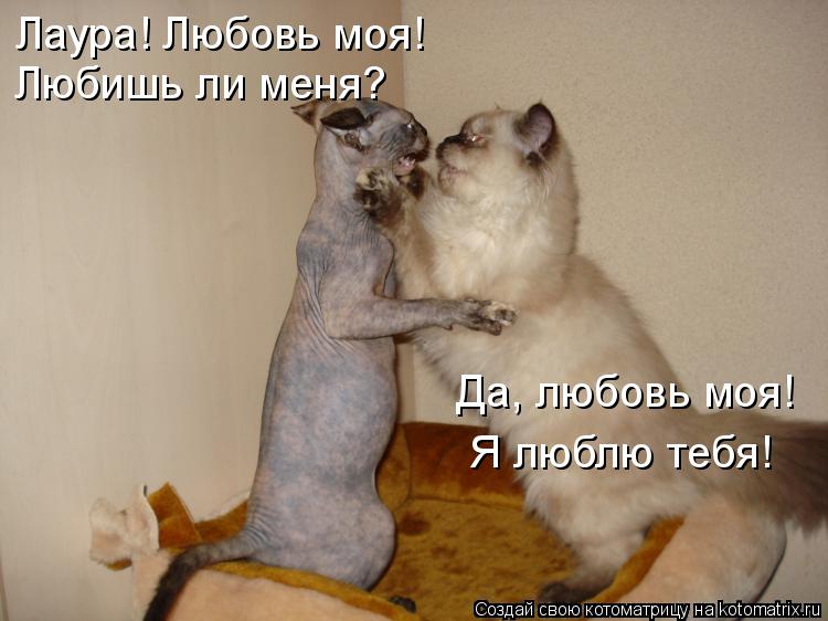 Лаура! Любовь моя! Любишь ли меня? Да, любовь моя! Я люблю тебя!... Котоматрица: Лаура! Любовь моя! Любишь ли меня? Да, любовь моя! Я люблю тебя!