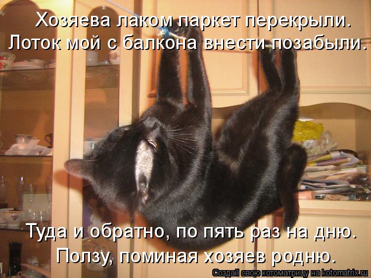 Хозяева лаком паркет перекрыли. Лоток мой с балкона внести позабыли. Туда и обратно, по пять раз на д... Котоматрица: Хозяева лаком паркет перекрыли. Лоток мой с балкона внести позабыли. Туда и обратно, по пять раз на дню. Ползу, поминая хозяев родню.