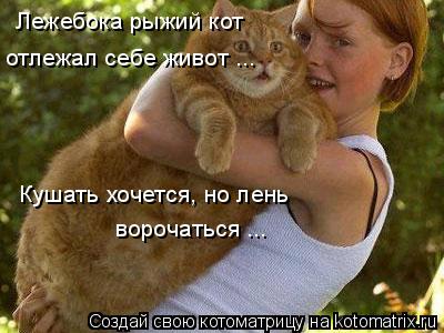 Котоматрица: Лежебока рыжий кот отлежал себе живот ... Кушать хочется, но лень ворочаться ...