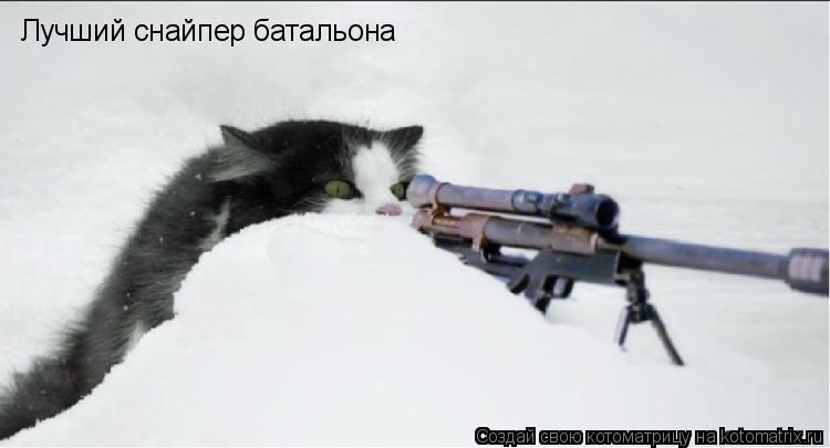 Котоматрица: Лучший снайпер батальона