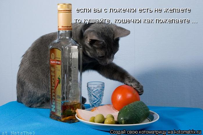 Котоматрица: если вы с ложечки есть не желаете , то кушайте, кошечки как пожелаете ...