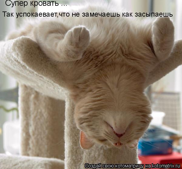 Котоматрица: Супер кровать ... Так успокаевает,что не замечаешь как засыпаешь