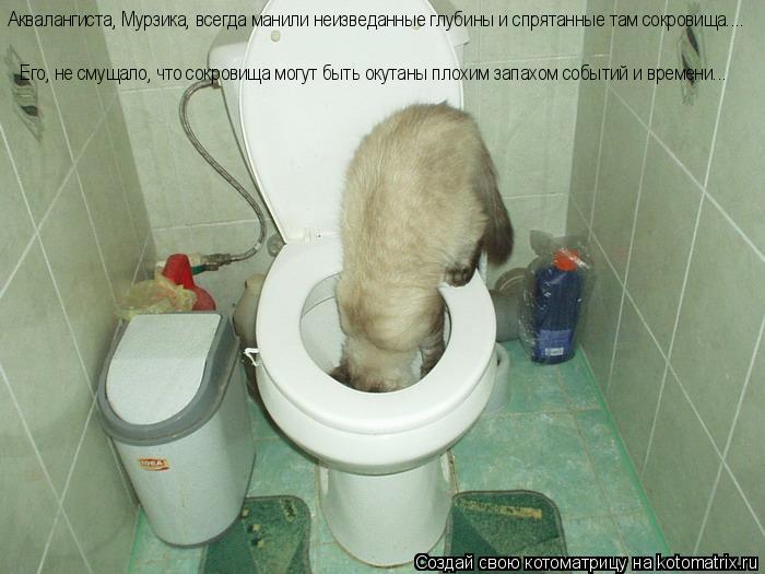 Котоматрица: Аквалангиста, Мурзика, всегда манили неизведанные глубины и спрятанные там сокровища.... Его, не смущало, что сокровища могут быть окутаны п