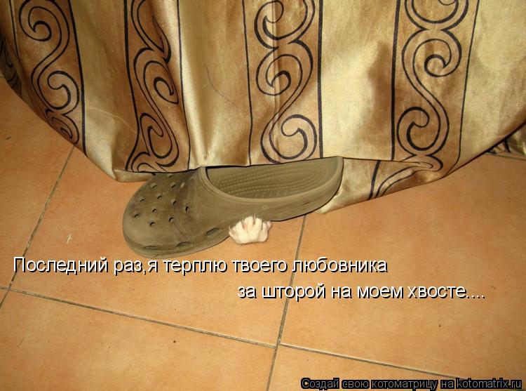 Котоматрица: Последний раз,я терплю твоего любовника за шторой на моем хвосте....