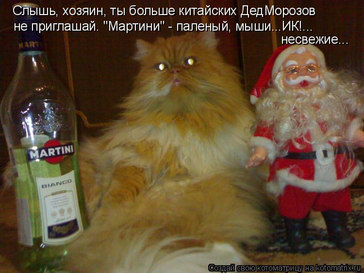 Слышь, хозяин, ты больше китайских ДедМорозов не приглашай. "Мартини" - паленый, мыши...ИК!... несвеж... Котоматрица: Слышь, хозяин, ты больше китайских ДедМорозов не приглашай. "Мартини" - паленый, мыши...ИК!... несвежие...