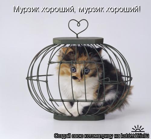 Котоматрица: Мурзик хороший, мурзик хороший!